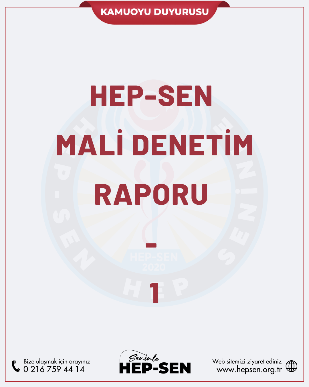 Hep-Sen Mali Denetim Raporu - 1